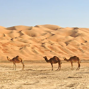 بالصور: 10 صحارى مذهلة يمكن السفر إليها خلال فصل الخريف