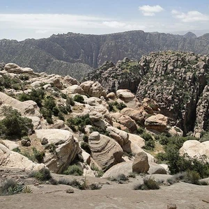 وفاة صاحب أغرب وأطرف لقطة في تاريخ المونديال