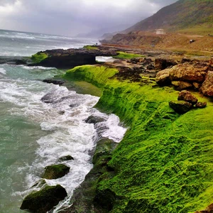 15 pictures of the city of Salalah .. reflecting the most beautiful scenes of nature