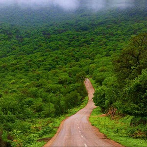 15 photos de la ville de Salalah .. reflétant les plus belles scènes de la nature