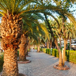 En images : Voir la charmante ville de Marmaris.. où la nature exceptionnelle est