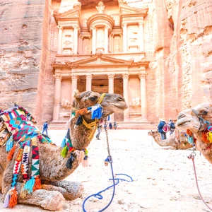 En images : découvrez la beauté de la nature et de la vie en Jordanie