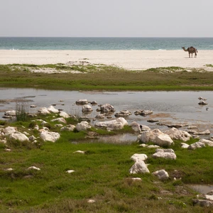 15 pictures of the city of Salalah .. reflecting the most beautiful scenes of nature