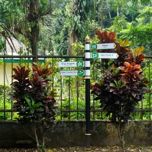 Bogor Botanical Gardens.. A peaceful getaway from busy Jakarta
