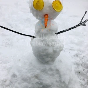 بالصور || هكذا عبر بعض الاشخاص عن فرحتهم بالثلوج بصنع رجل الثلج (Snowman) 