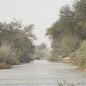 The best `Kashtat` places in Riyadh to escape from the hustle and bustle of the city to the silence of the desert