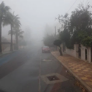 بالصور .. الضباب يلف مناطق واسعة في المملكة