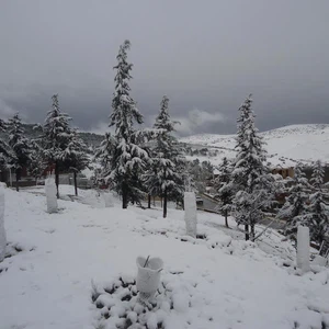ثلوج 2014 تصوير وائل حكيم