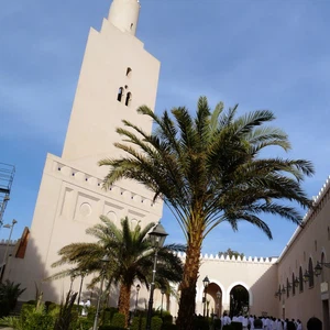 مسجد الشجرة