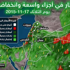 بالصور: مشهد نادر من داخل أكبر مستعمرة للطيور البحرية في العالم