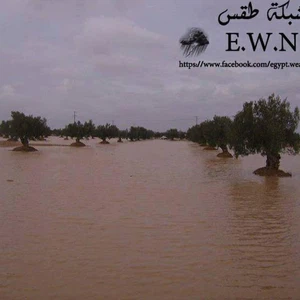 بالصور: أمطار طوفانية في جنوب تونس 