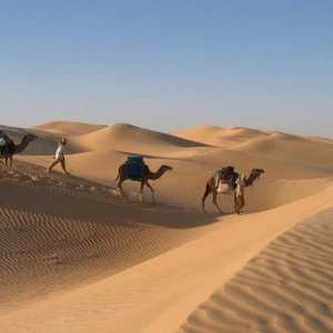 En images : la Tunisie est la meilleure destination touristique pour 2015