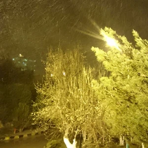 صور حصرية لطقس العرب : الثلوج تتساقط بكثافة في الرشادية 