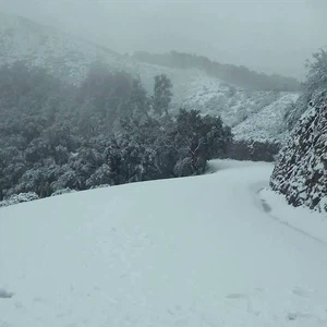 بالصور... الثلوج تكسو مدن الشمال الجزائري
