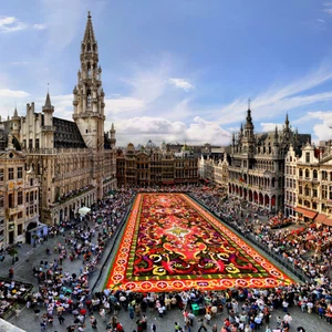 مهرجان اكبر زربية ورود