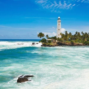 جالي، سريلانكا