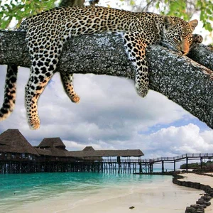 جزيرة زنجبار في تنزانيا