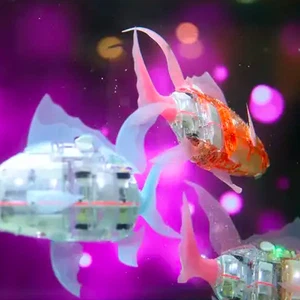 Vidéo] Le MIT présente SoFi, un robot poisson contrôlé à distance