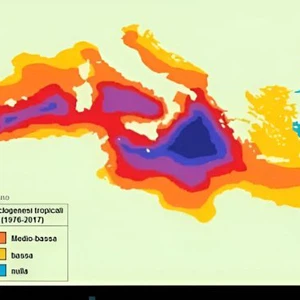 Uno studio scientifico individua nel Mediterraneo le zone più vulnerabili alle tempeste mediterranee | Tempo arabo