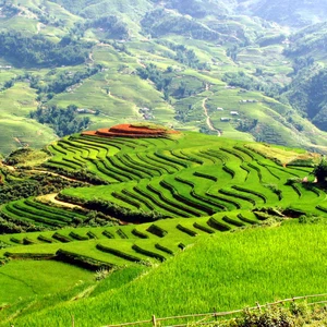 En images : découvrez la beauté légendaire de la nature au Vietnam