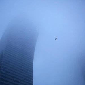 In pictures: amazing scenes of global cities covered in fog