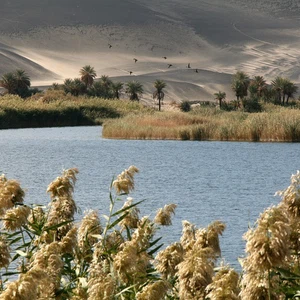 بالصور : واو الناموس .. مصدر مائي عجيب وسط الصحراء الليبية الحارقة 