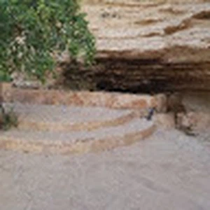 خالد البراهيم