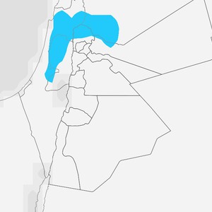 الأردن | استمرار فرص الأمطار الليلة وصباح السبت