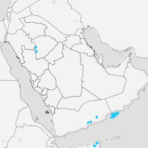 اليمن | فرصة لزخات رعدية من الأمطار الثلاثاء في اجزاء من المرتفعات الجبلية   