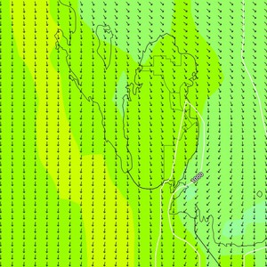 النشرة الأسبوعية - قطر | بداية هبوب رياح البوارح اعتبارا من الاثنين 