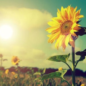 الأردن | طقس صيفي اعتيادي خلال الأسبوع الحالي