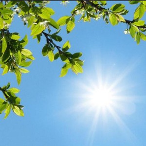 الأردن | ارتفاع تدريجي على الحرارة خلال عطلة نهاية الأسبوع