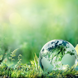 اليوم العالمي للبيئة 2020... تحت شعار "التنوع البيولوجي"