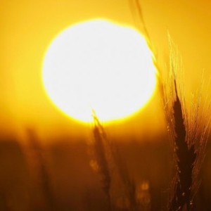 Climate: How long will weather fluctuations continue to affect the Kingdom?