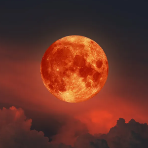 الليلة فقط!  أكثر من 480 مليون مواطن عربي سيشاهدون القمر بشكل غير مألوف!