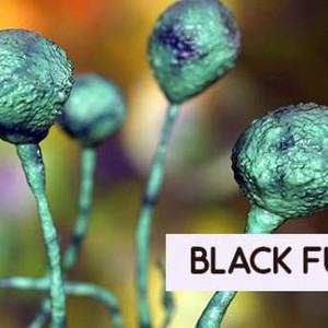 ما هو داء الفطر الأسود القاتل الذي يهدد المتعافين من كورونا في الهند