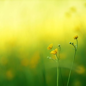 الأردن | حالة الطقس المتوقعة يوم الإثنين - ثاني أيام عيد الأضحى المبارك