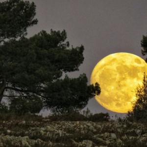 شاهد | بث مباشر لشروق قمر الحصادين 2025 الأكثر إشراقاً وقرباً للأرض