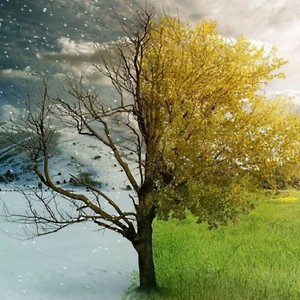 رقم صادم | 65 درجة مئوية الفرق بين أعلى وأقل حرارة مسجلة في السعودية!