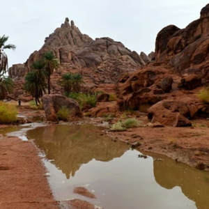 أمطار مرتقبة ونشاط للرياح المثيرة للغبار في مناطق سعودية يوم الجمعة