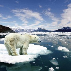 الجليد في القطب الشمالي يقترب من أدنى مستوى سنوي: ما السبب وما تأثيره؟