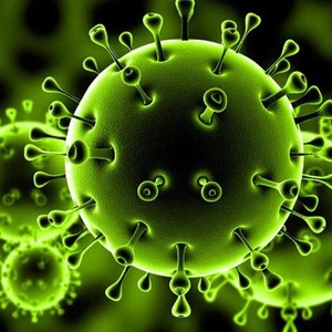 الإصابات بكورونا تتجاوز المليونين في أمريكا والوفيات تتخطى 112 ألفا