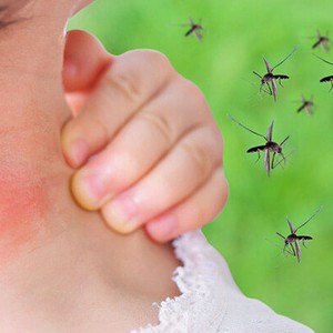 حساسية الحشرات .. أسبابها وطرق العلاج