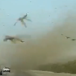 بالفيديو | أسراب ضخمة من الجراد تجتاح السعودية .. فيديو مرعب خدع الآلاف