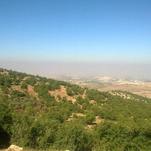 الأردن | استمرار الطقس الصيفي الاعتيادي خلال ما تبقى من الأسبوع الحالي 