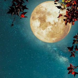 أكثر إشراقًا بنسبة 30% .. قمر الحصادين العملاق يضيء سماء المملكة الليلة