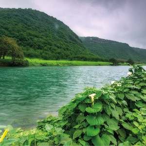 تعرف على خريف صلالة..موسم الخريف في عز الصيف