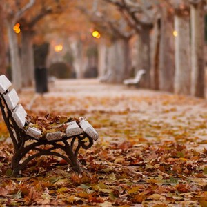 9 أعراض للاكتئاب الخريفي و7 طرق فعّالة للتغلب عليه