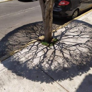 مناطق من السعودية والامارات تشهد انعدام ظل الظهيرة خلال الأيام المقبلة..ما السبب؟