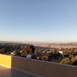 مزرعة الزهراء
